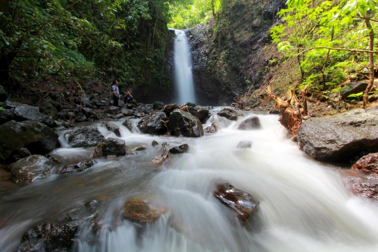 Bali Munduk Delux Bungalow Villa Singaraja エクステリア 写真