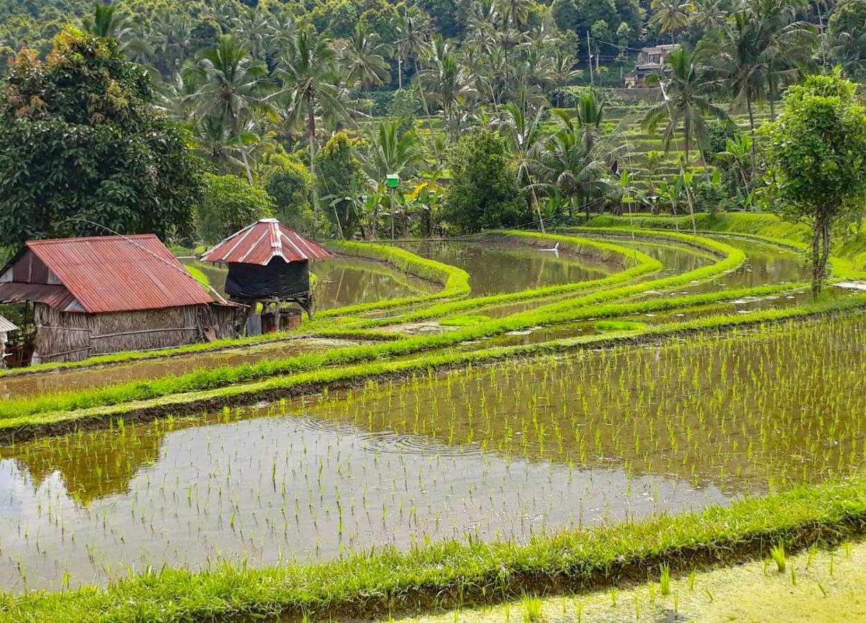 Bali Munduk Delux Bungalow Villa Singaraja エクステリア 写真