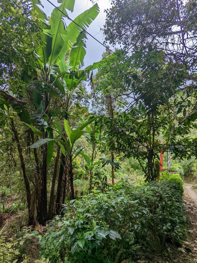 Bali Munduk Delux Bungalow Villa Singaraja エクステリア 写真