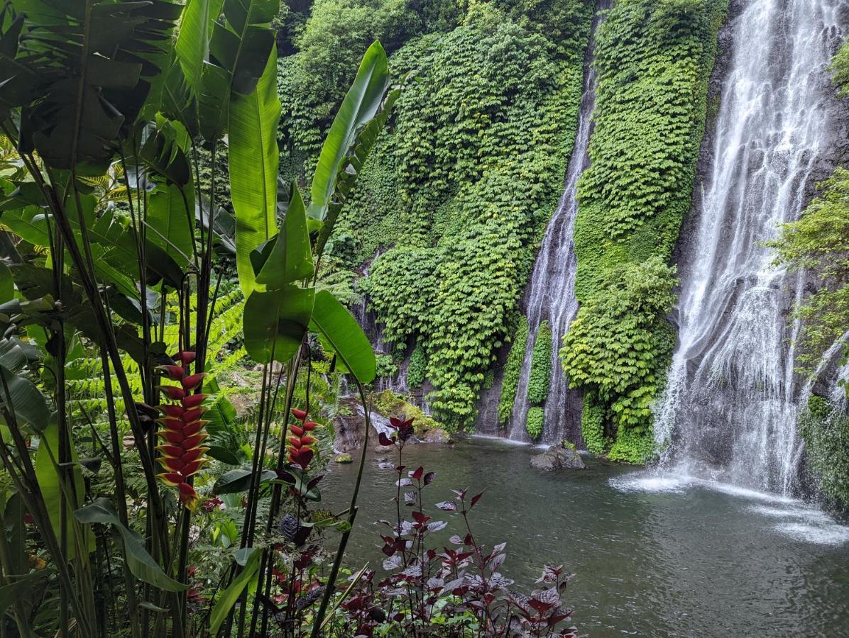 Bali Munduk Delux Bungalow Villa Singaraja エクステリア 写真