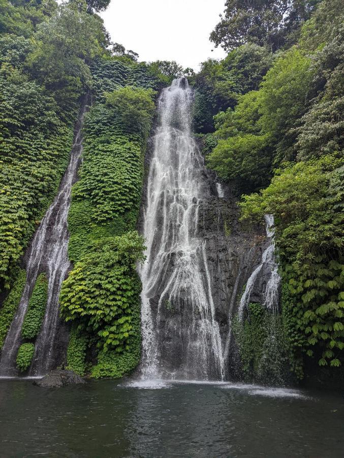 Bali Munduk Delux Bungalow Villa Singaraja エクステリア 写真