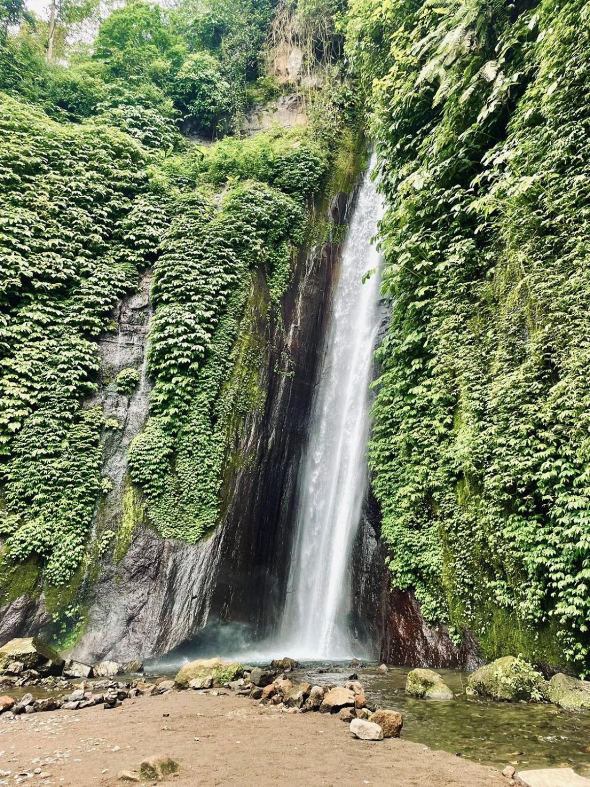 Bali Munduk Delux Bungalow Villa Singaraja エクステリア 写真