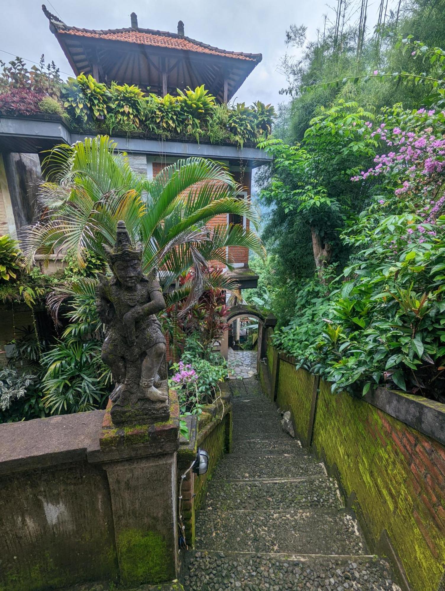 Bali Munduk Delux Bungalow Villa Singaraja エクステリア 写真