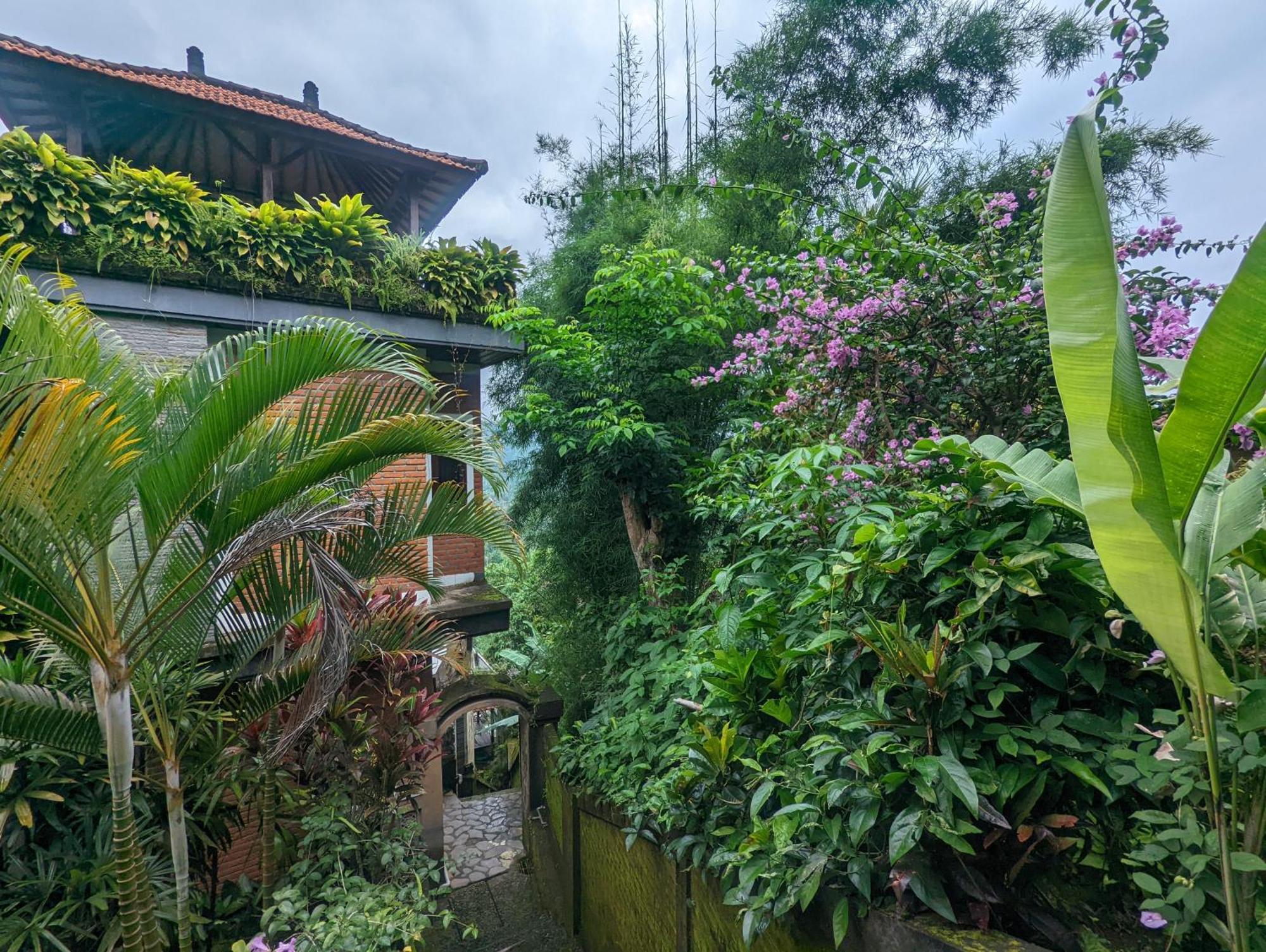 Bali Munduk Delux Bungalow Villa Singaraja エクステリア 写真